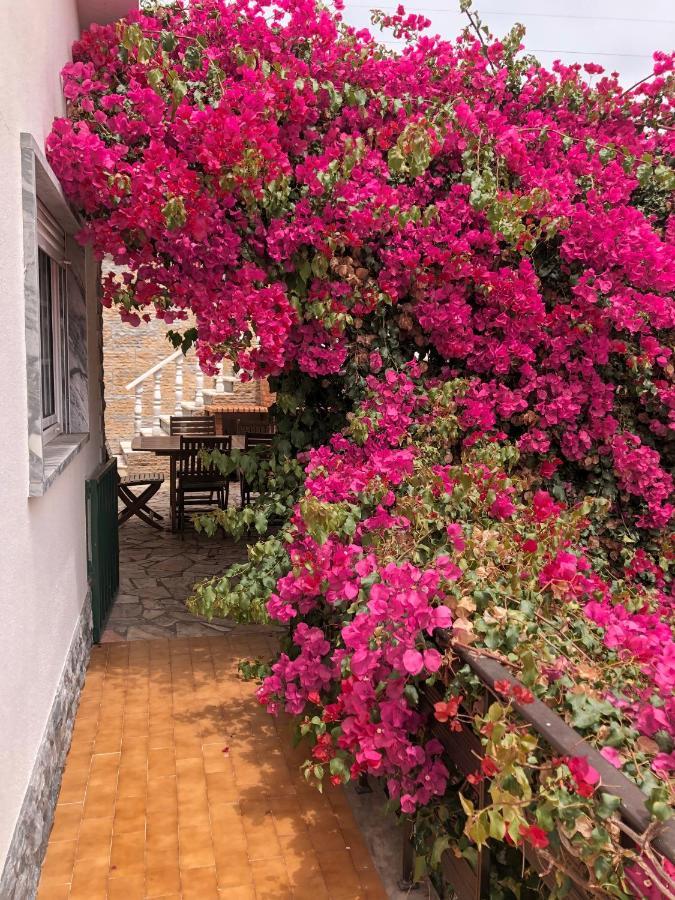 Lagun Bed and Breakfast Santo Isidoro Eksteriør billede